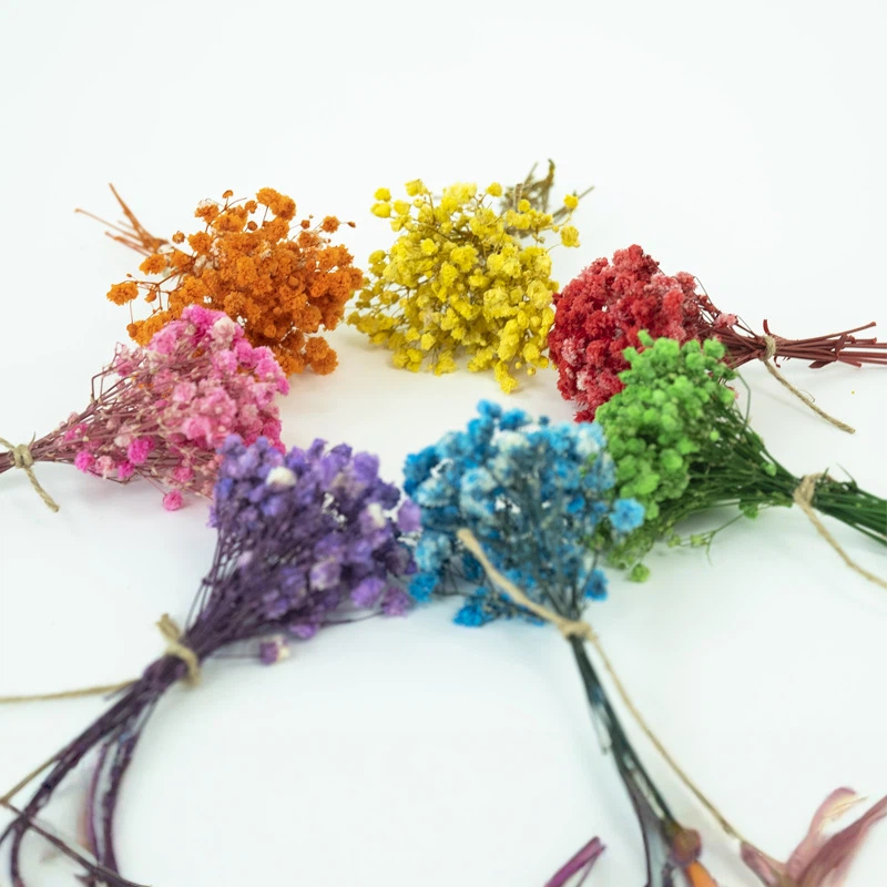 زهور جيبسوفيلا مجففة طبيعية صغ - مراجعة Craft Embellishment وسعره